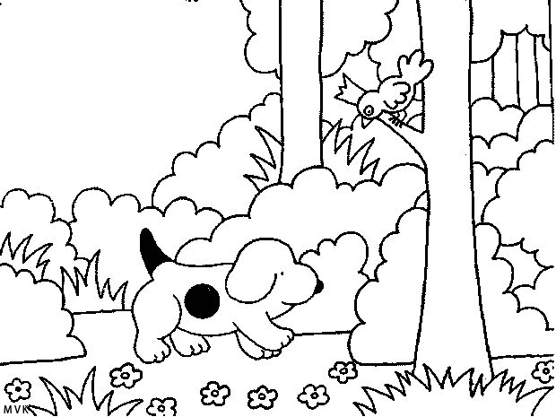 spot the dog013